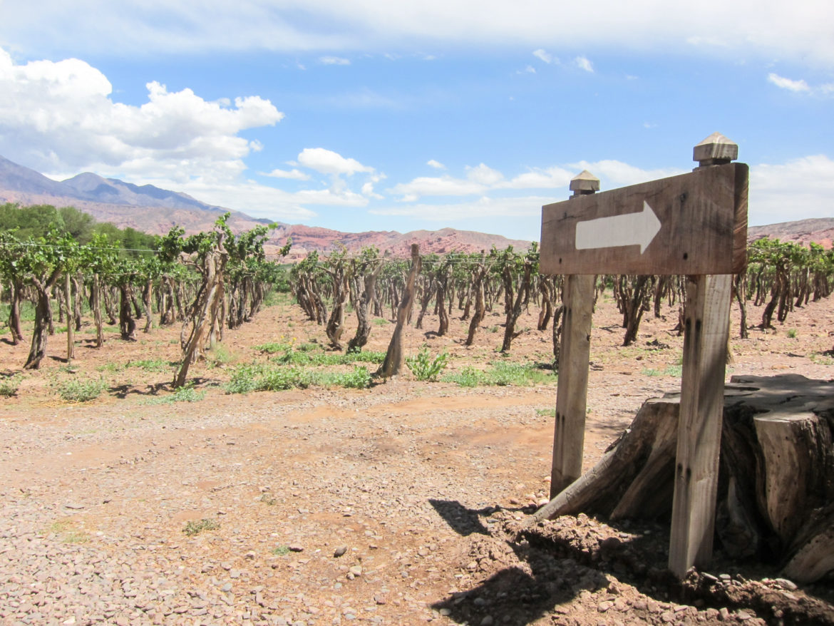 evergib_wanders_argentina_cafayate-4580