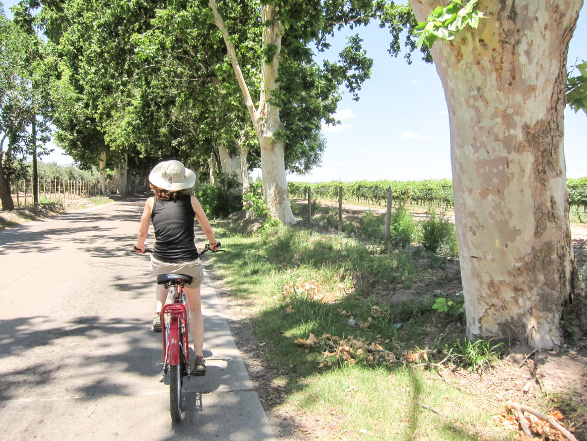 evergib_wanders_argentina_mendoza-4715