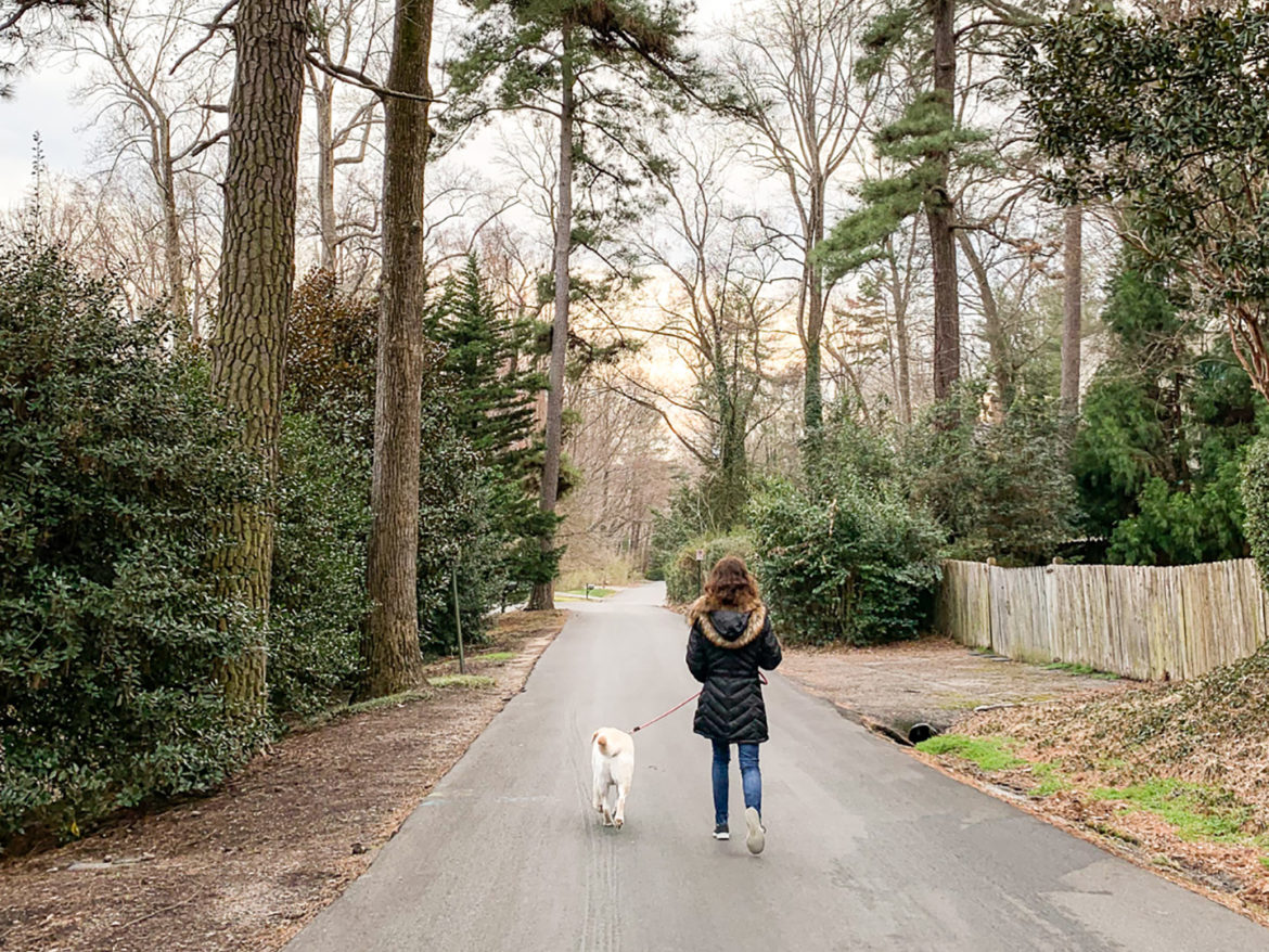 evergibwanders_petsitting_rva_hannah-2435